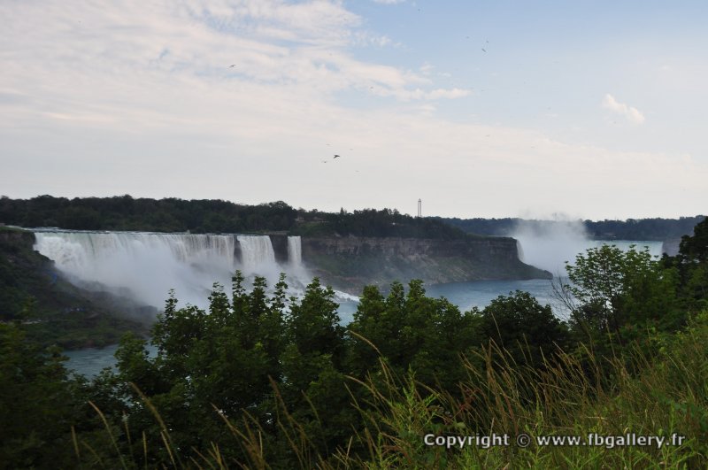 Canada2017_1934__DSC_1102