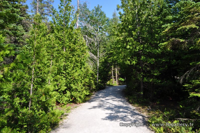 Canada2017_1949__DSC_0004