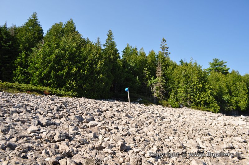 Canada2017_1962__DSC_0017