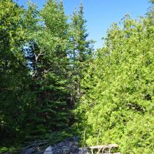 Canada2017_1975__DSC_0030