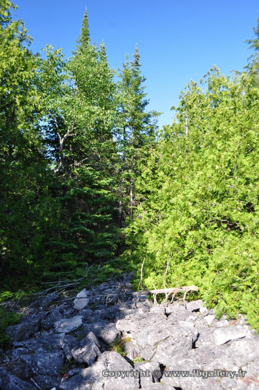 Canada2017_1975__DSC_0030