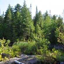 Canada2017_1983__DSC_0038
