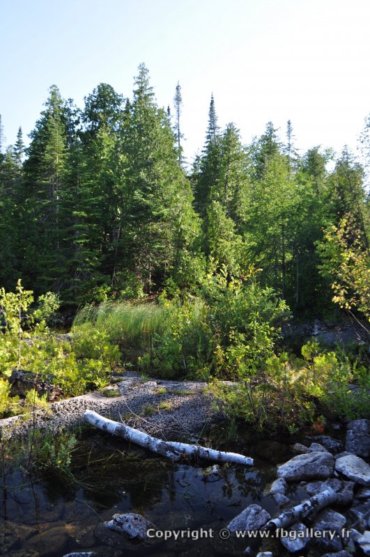 Canada2017_1983__DSC_0038