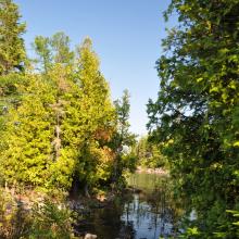 Canada2017_2001__DSC_0056