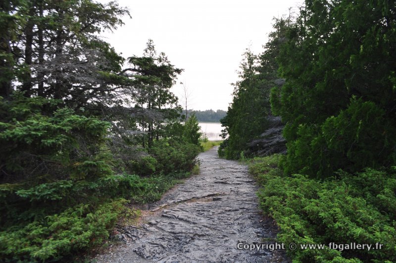 Canada2017_2047__DSC_0105