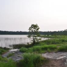 Canada2017_2048__DSC_0106