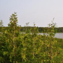 Canada2017_2049__DSC_0107
