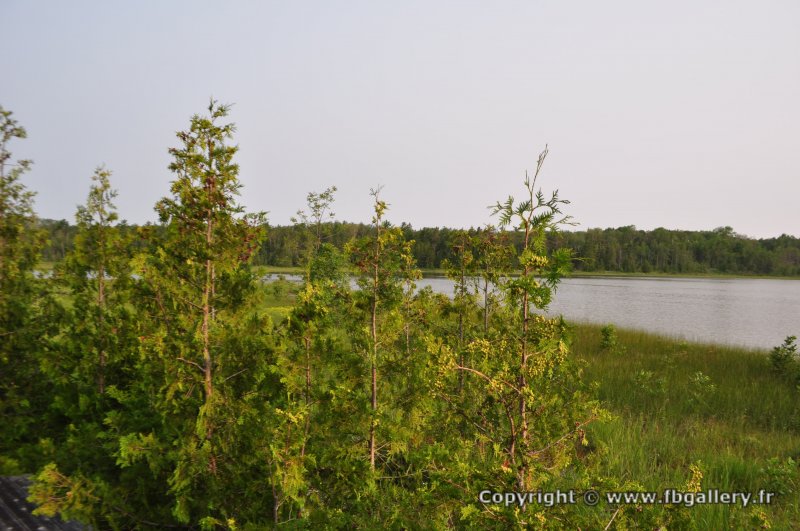Canada2017_2049__DSC_0107