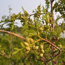 Canada2017_2050__DSC_0108