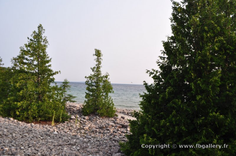 Canada2017_2051__DSC_0109