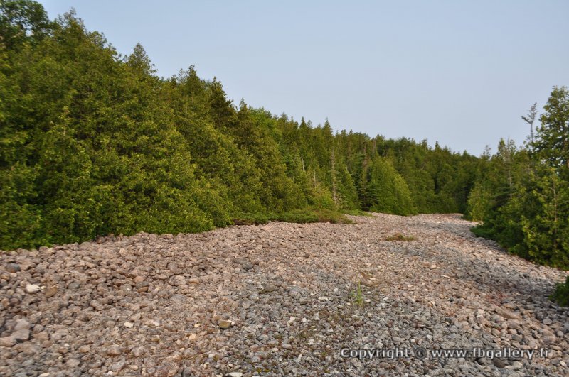 Canada2017_2052__DSC_0110