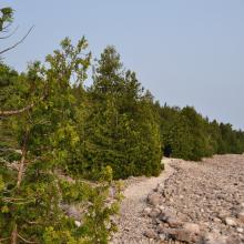 Canada2017_2054__DSC_0112