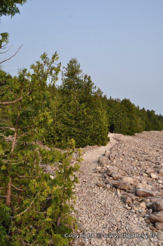 Canada2017_2054__DSC_0112