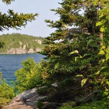 Canada2017_2097__DSC_0155