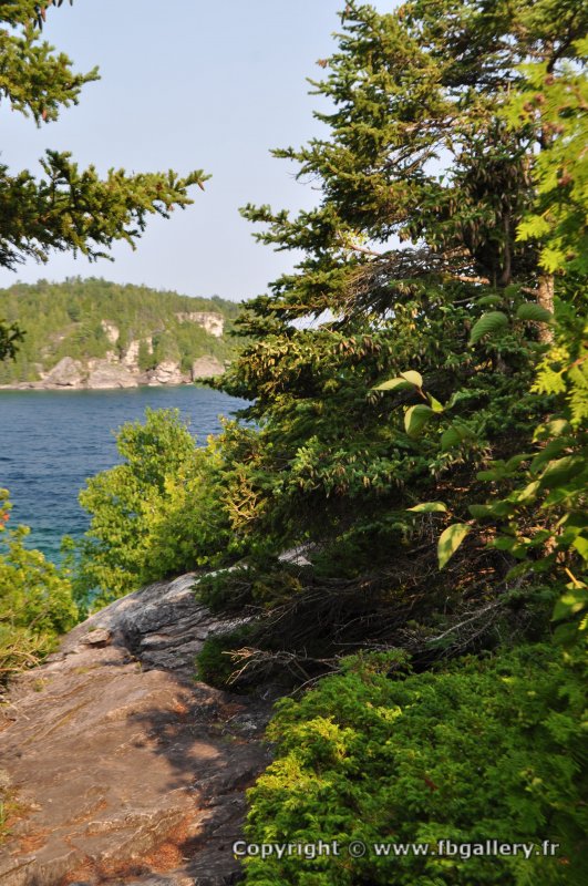 Canada2017_2097__DSC_0155