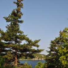 Canada2017_2100__DSC_0158