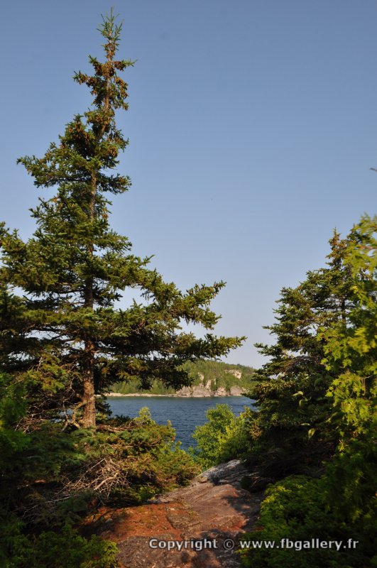 Canada2017_2100__DSC_0158