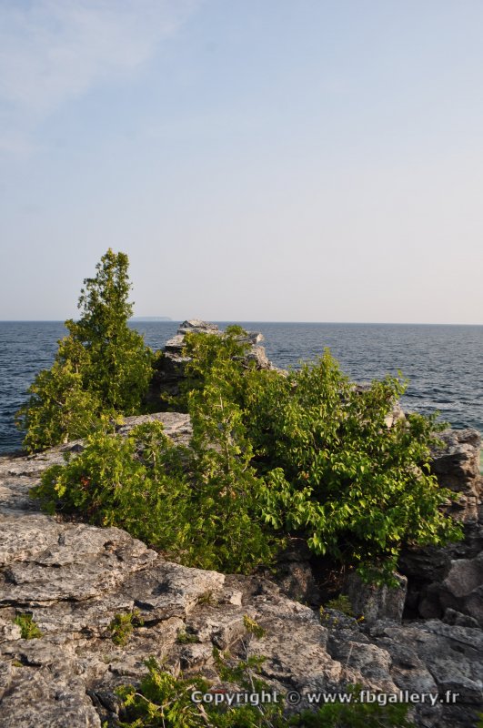 Canada2017_2110__DSC_0168