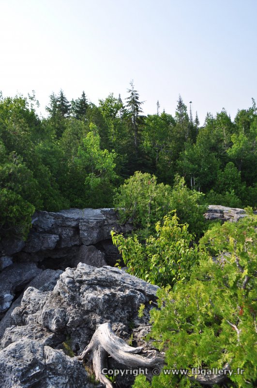 Canada2017_2116__DSC_0174