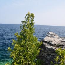 Canada2017_2118__DSC_0176