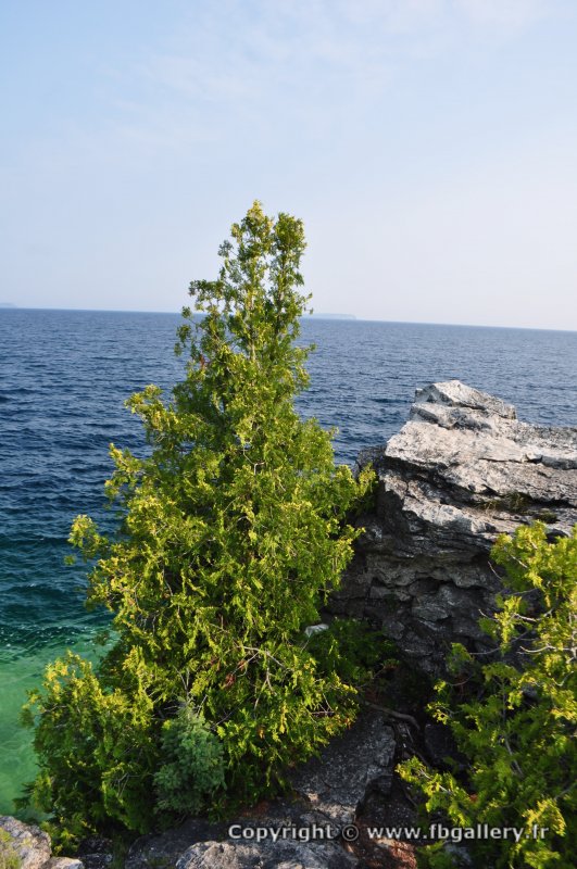 Canada2017_2118__DSC_0176