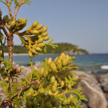 Canada2017_2123__DSC_0181