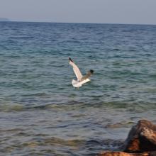 Canada2017_2127__DSC_0185