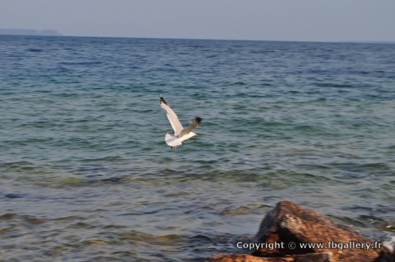 Canada2017_2127__DSC_0185