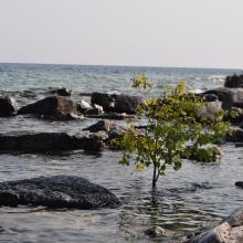 Canada2017_2128__DSC_0187
