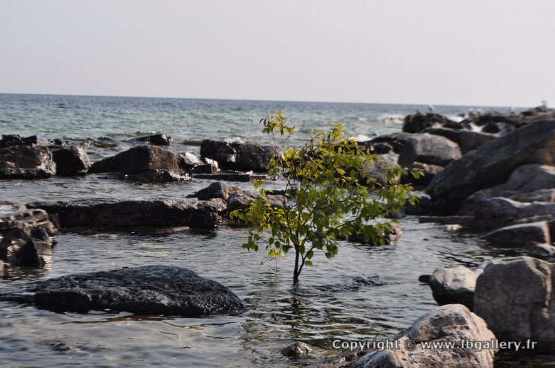 Canada2017_2128__DSC_0187