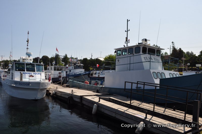 Canada2017_2159__DSC_0218