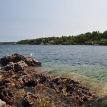 Canada2017_2167__DSC_0226