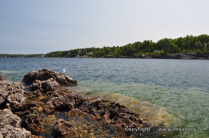 Canada2017_2167__DSC_0226