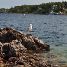 Canada2017_2169__DSC_0228