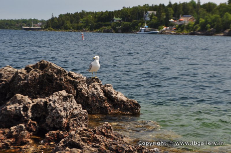 Canada2017_2169__DSC_0228