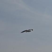 Canada2017_2213__DSC_0273