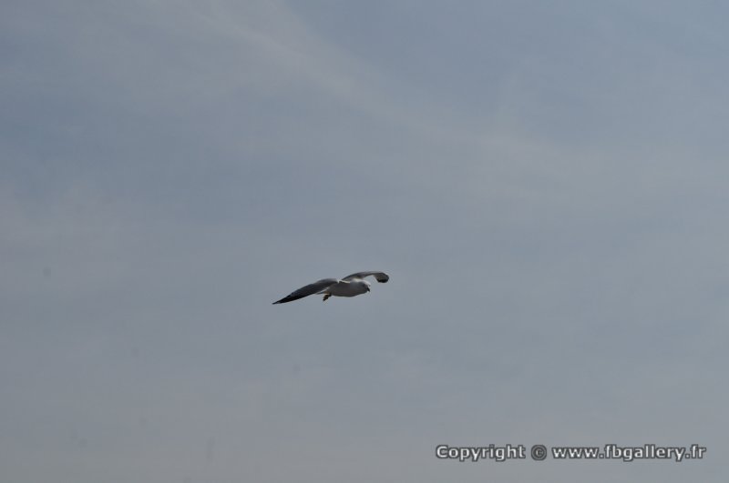 Canada2017_2213__DSC_0273