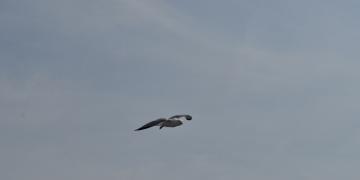 18-Traversee_Manitoulin