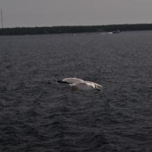 Canada2017_2214__DSC_0274