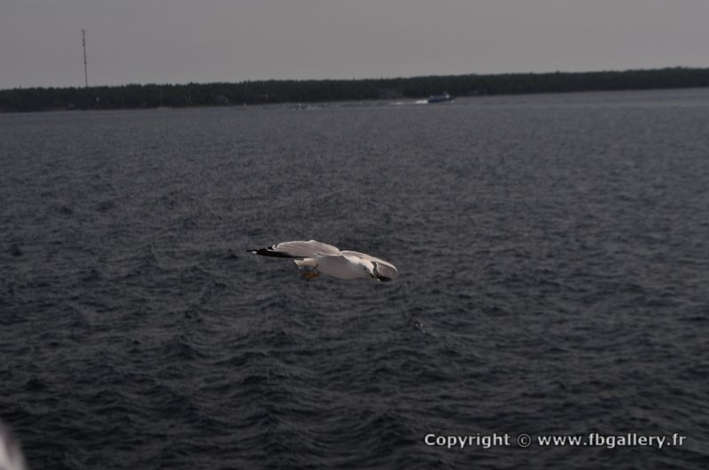 Canada2017_2214__DSC_0274