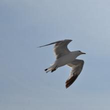 Canada2017_2219__DSC_0280