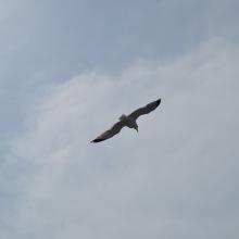 Canada2017_2220__DSC_0281