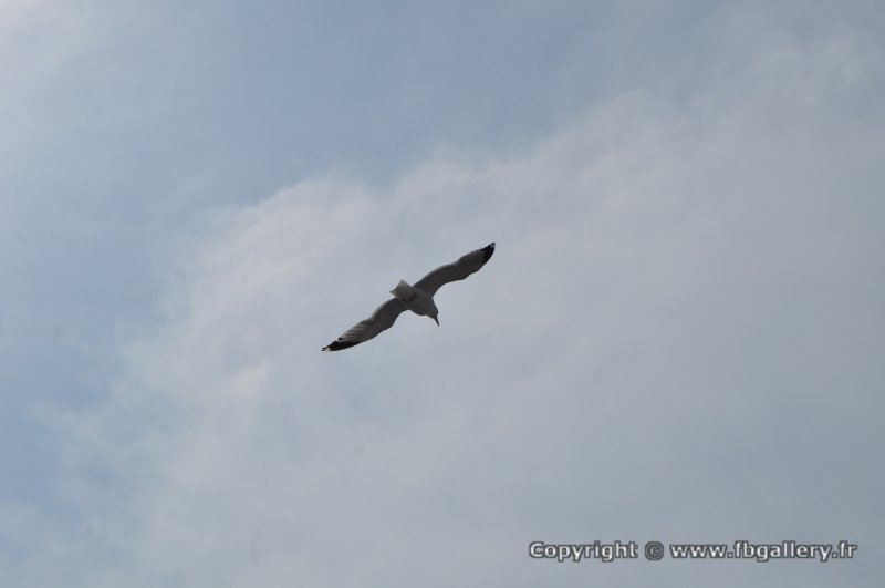 Canada2017_2220__DSC_0281
