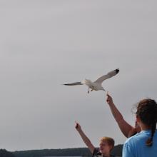 Canada2017_2221__DSC_0282