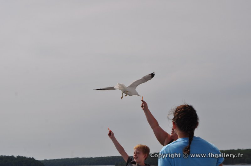 Canada2017_2221__DSC_0282
