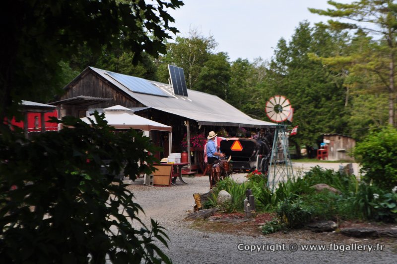 Canada2017_2241__DSC_0302