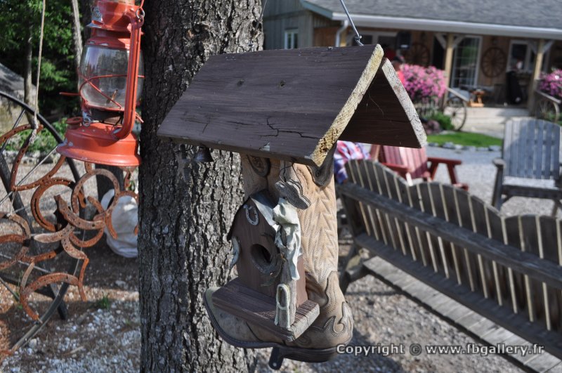 Canada2017_2248__DSC_0309