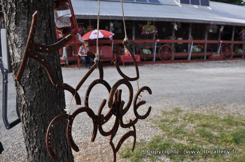 Canada2017_2249__DSC_0310