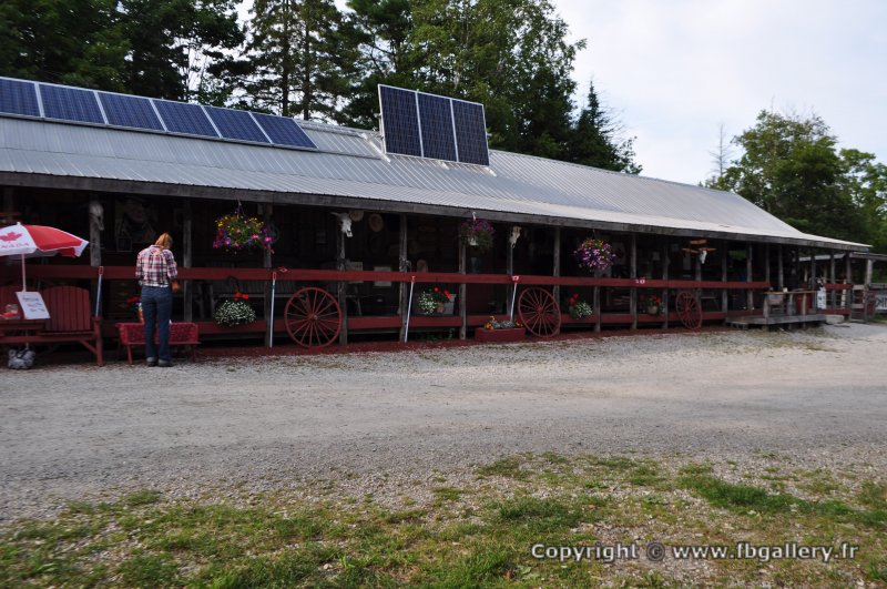 Canada2017_2252__DSC_0313