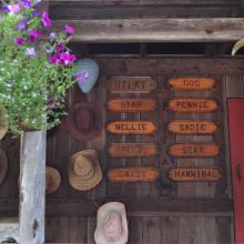 Canada2017_2254__DSC_0315